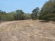 Photo - 614 Fingerfield Road, Deepwater QLD 4674 - Image 15