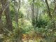 Photo - 614 Fingerfield Road, Deepwater QLD 4674 - Image 17