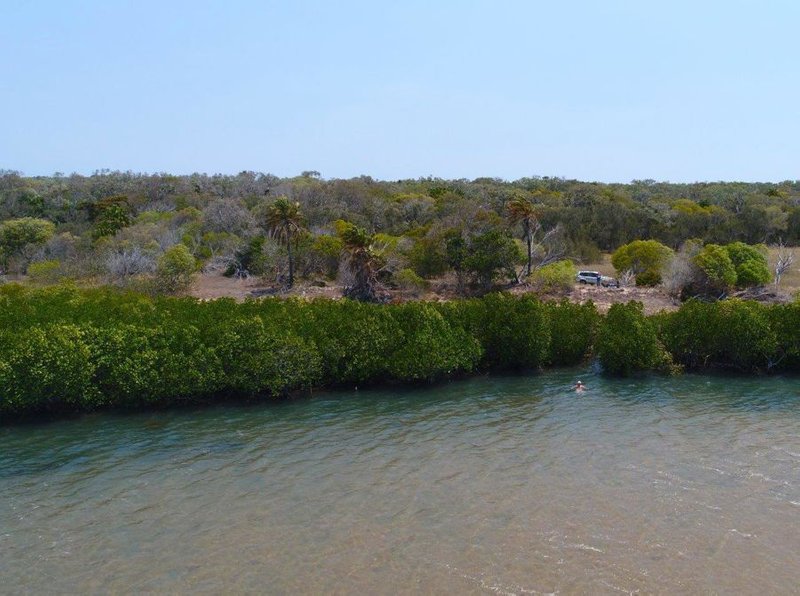 Photo - 614 Fingerfield Road, Deepwater QLD 4674 - Image 21