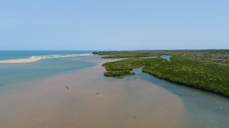 Photo - 614 Fingerfield Road, Deepwater QLD 4674 - Image 22