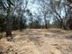 Photo - 614 Fingerfield Road, Deepwater QLD 4674 - Image 25