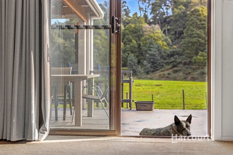 Photo - 614 Ironcliffe Road, Penguin TAS 7316 - Image 19
