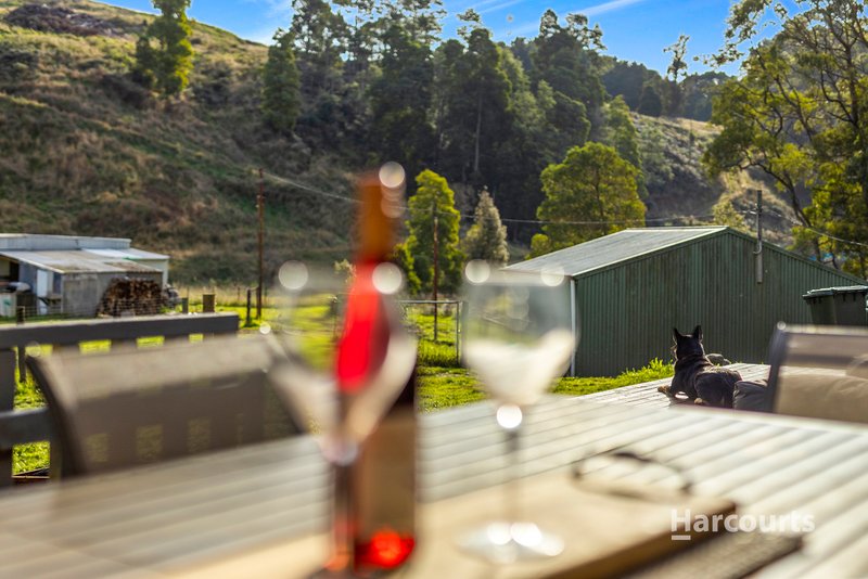 Photo - 614 Ironcliffe Road, Penguin TAS 7316 - Image 25