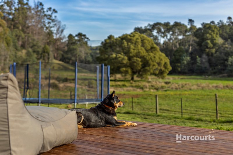 Photo - 614 Ironcliffe Road, Penguin TAS 7316 - Image 26