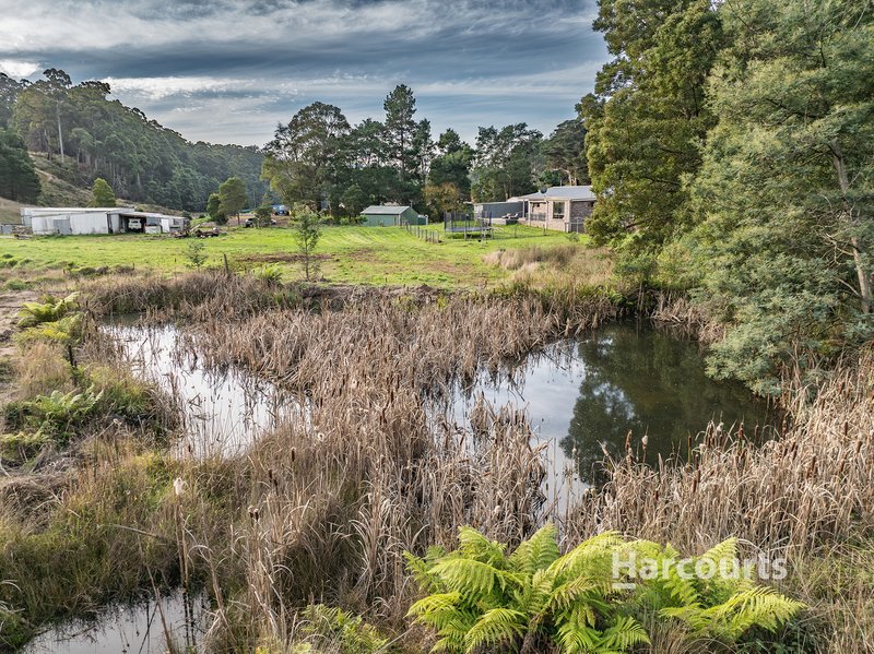 Photo - 614 Ironcliffe Road, Penguin TAS 7316 - Image 27