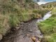 Photo - 614 Ironcliffe Road, Penguin TAS 7316 - Image 33