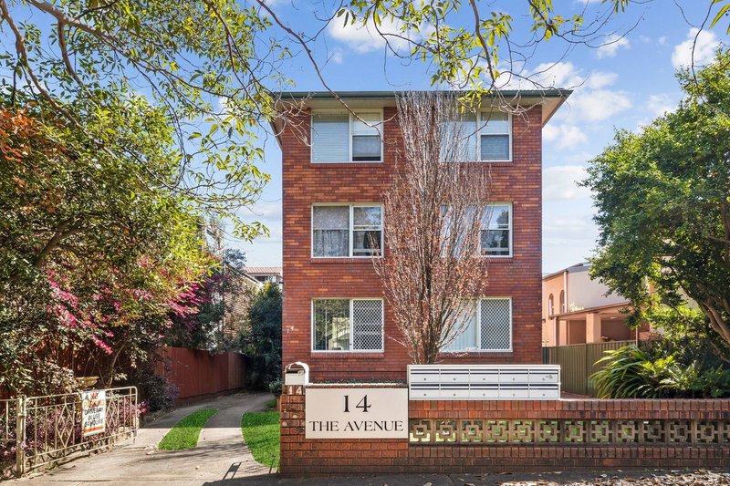 Photo - 6/14 The Avenue, Ashfield NSW 2131 - Image 8