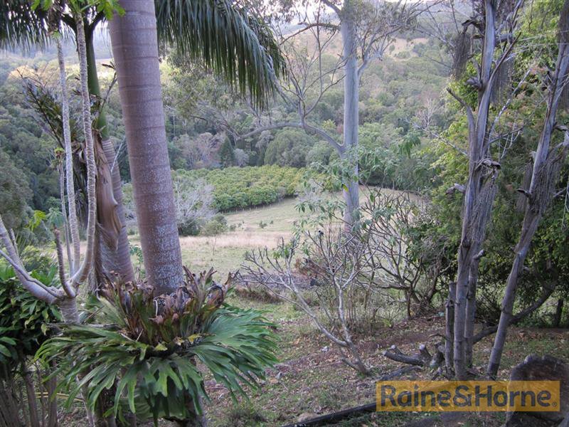 Photo - 614 Upper Burringbar Road, Upper Burringbar NSW 2483 - Image 8