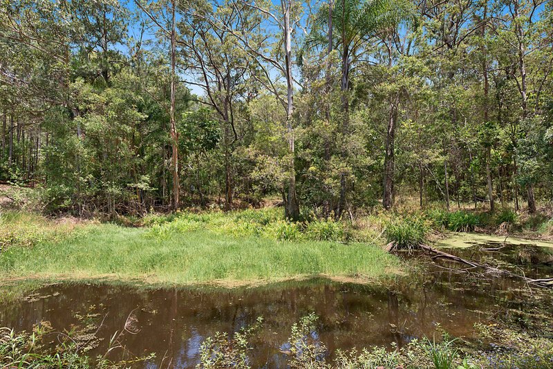 Photo - 614 Yandina Bli Bli Road, Maroochy River QLD 4561 - Image 4