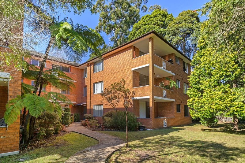 Photo - 6/147-153 Sydney Street, Willoughby NSW 2068 - Image 6