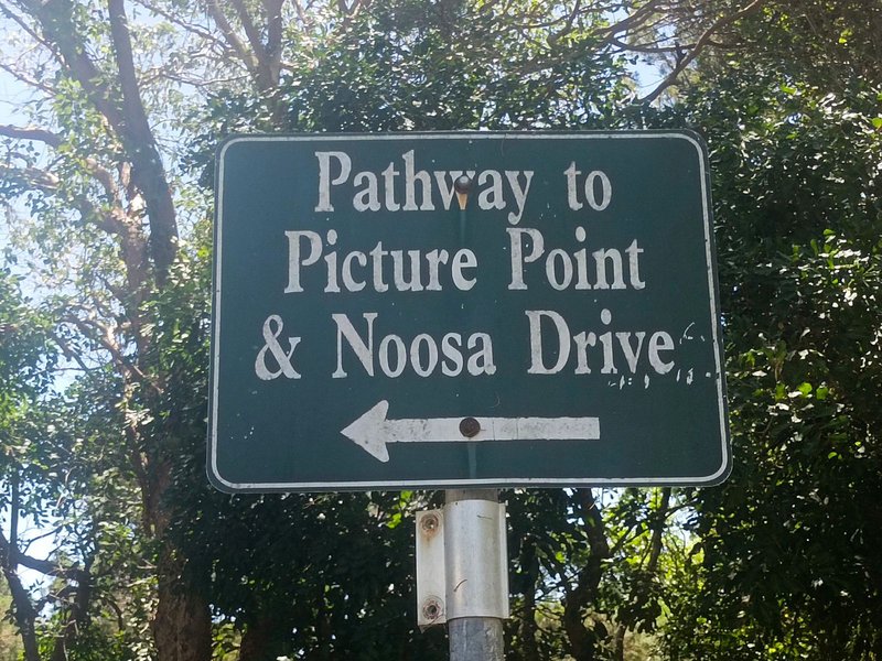 Photo - 6/15-17 Attunga Heights, Noosa Heads QLD 4567 - Image 3