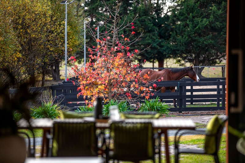 Photo - 615 Baxter-Tooradin Road, Pearcedale VIC 3912 - Image 2
