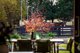 Photo - 615 Baxter-Tooradin Road, Pearcedale VIC 3912 - Image 2