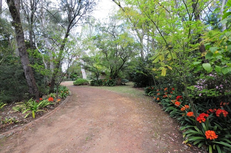 615 Illaroo Road, Bangalee NSW 2541 Real Estate Industry Partners