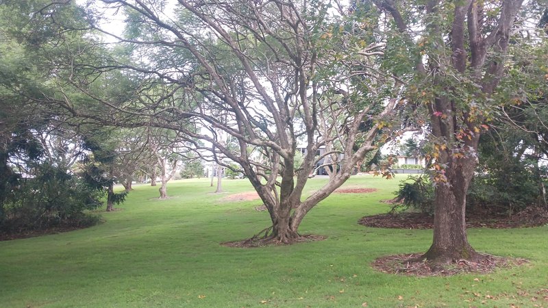 Photo - 6/16-18 Golfers Crescent, Tamborine Mountain QLD 4272 - Image 2