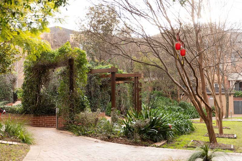 Photo - 6/18 Cecilia Street, Marrickville NSW 2204 - Image 10