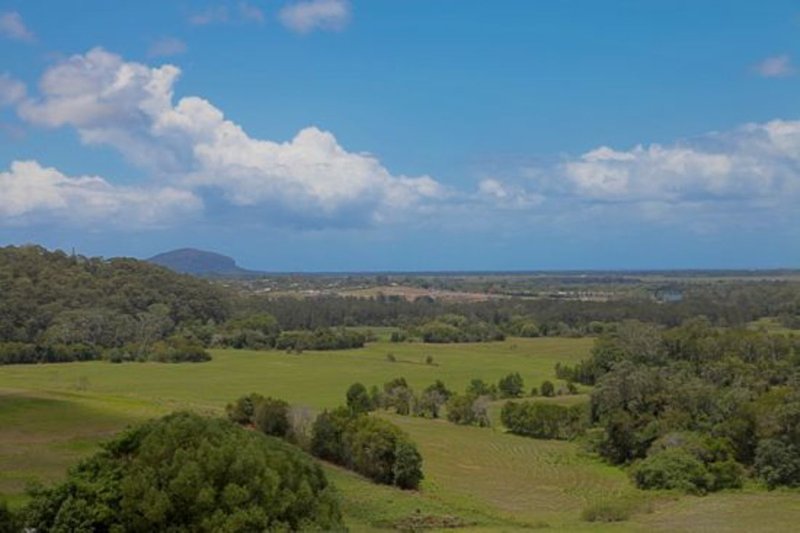 Photo - 618 Diddillibah Rd , Diddillibah QLD 4559 - Image 13