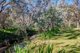 Photo - 6180 Northern Highway, Heathcote VIC 3523 - Image 25