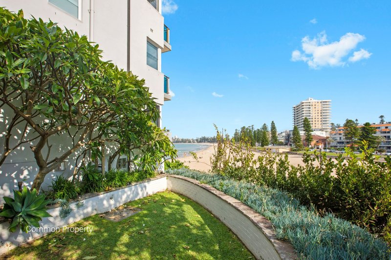 Photo - 6/1A Greycliffe Street, Queenscliff NSW 2096 - Image 9