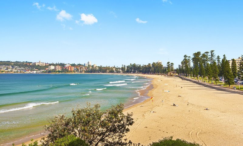 Photo - 6/1A Greycliffe Street, Queenscliff NSW 2096 - Image 11