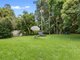 Photo - 62 Allamanda Drive, Daisy Hill QLD 4127 - Image 15