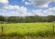 Photo - 62 Anderson'S Road, Hannam Vale NSW 2443 - Image 11