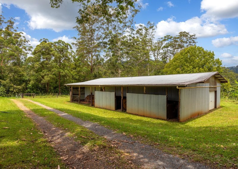 Photo - 62 Anderson'S Road, Hannam Vale NSW 2443 - Image 12