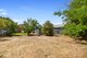 Photo - 62 Angus Avenue, Edwardstown SA 5039 - Image 17