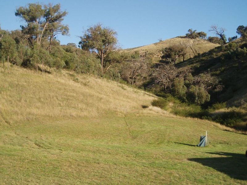 Photo - 62 Battery Crossing Road, Reids Flat NSW 2586 - Image 4