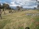 Photo - 62 Battery Crossing Road, Reids Flat NSW 2586 - Image 5