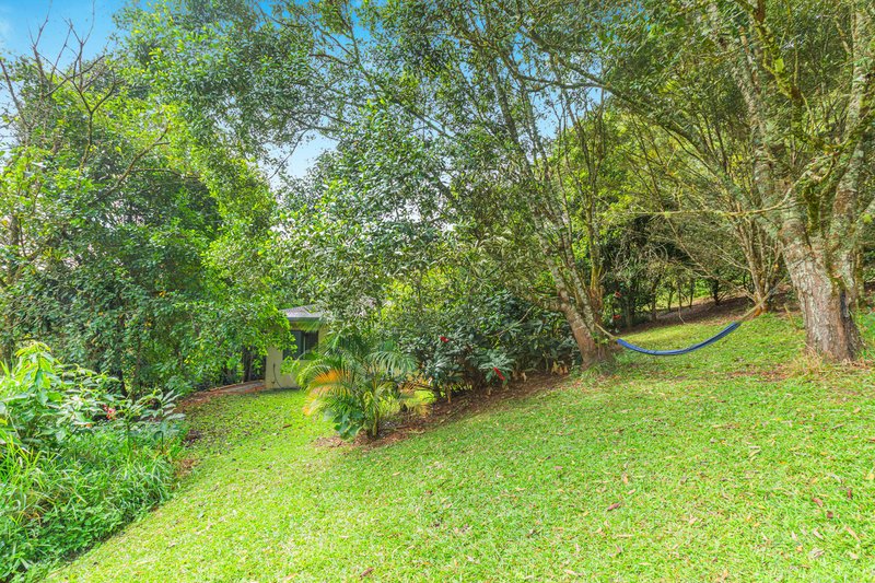Photo - 62 Bellview Drive, Ravenshoe QLD 4888 - Image 18