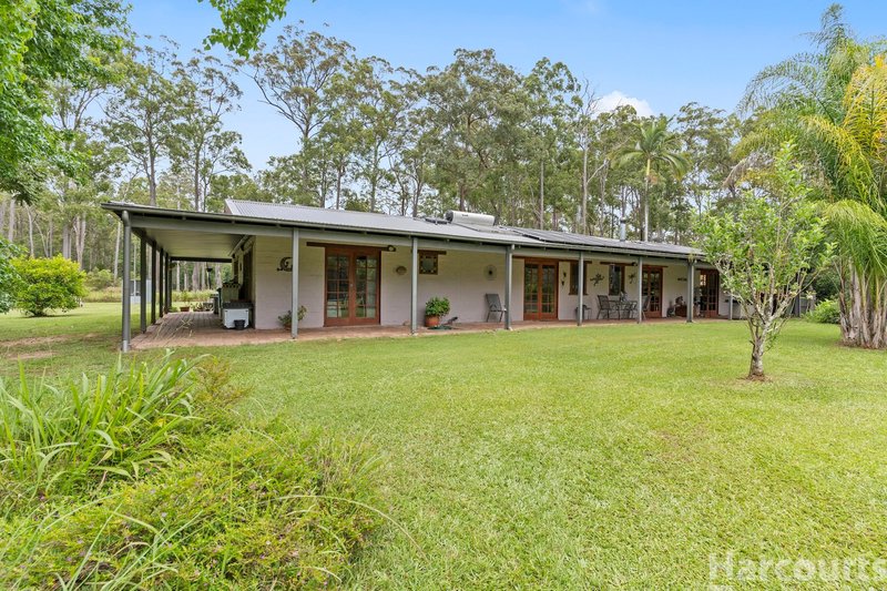 Photo - 62 Bloodwood Crescent, Yarravel NSW 2440 - Image 2