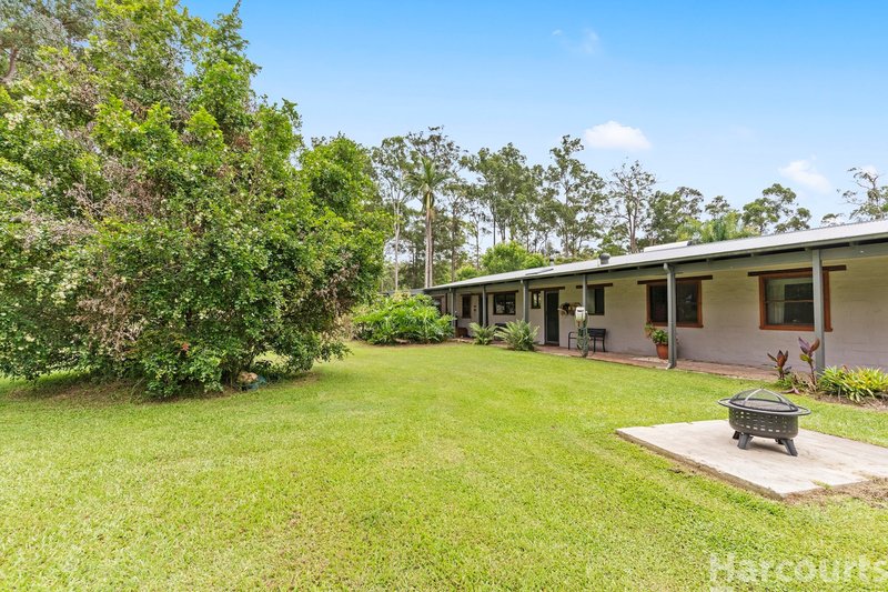 Photo - 62 Bloodwood Crescent, Yarravel NSW 2440 - Image 3