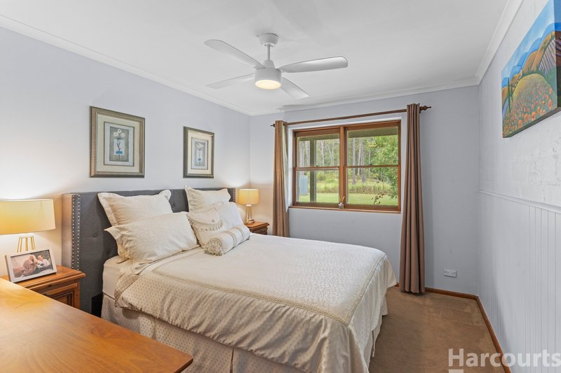 Photo - 62 Bloodwood Crescent, Yarravel NSW 2440 - Image 14