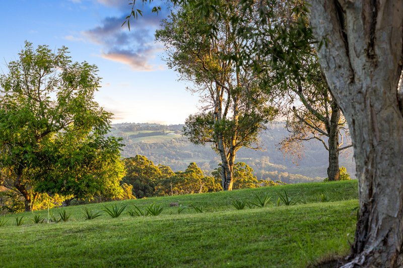 Photo - 62 Curramore Road, Witta QLD 4552 - Image 2