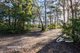 Photo - 62 Flamingo Avenue, Sanctuary Point NSW 2540 - Image 3