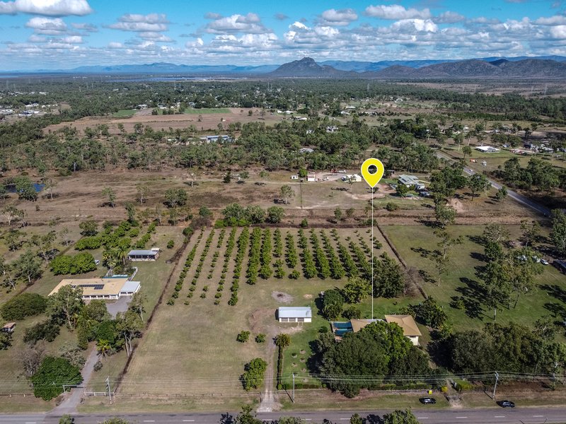 Photo - 62 Hammond Way, Kelso QLD 4815 - Image 16