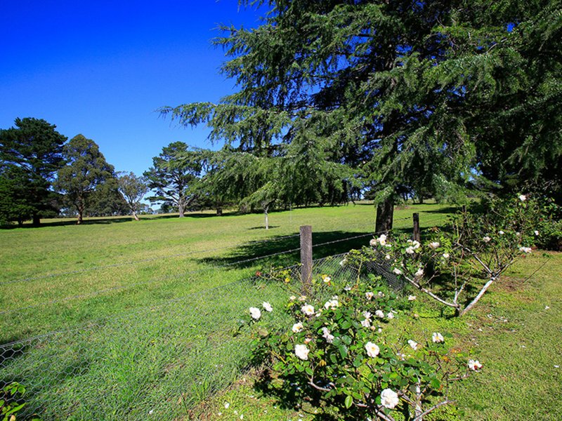 Photo - 62 Hayman Road, Bundanoon NSW 2578 - Image 12