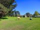 Photo - 62 Hayman Road, Bundanoon NSW 2578 - Image 13