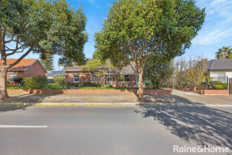 Photo - 62 Langman Grove, Felixstow SA 5070 - Image 3