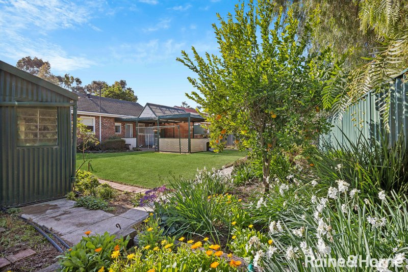 Photo - 62 Langman Grove, Felixstow SA 5070 - Image 7