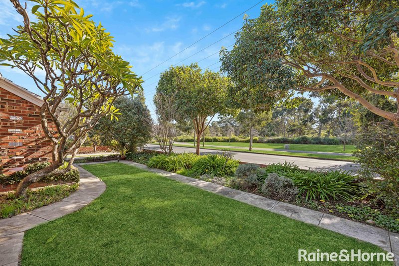 Photo - 62 Langman Grove, Felixstow SA 5070 - Image 9