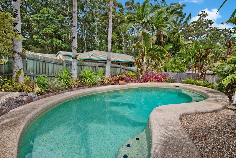 Photo - 62 Lauren Drive, Buderim QLD 4556 - Image 3