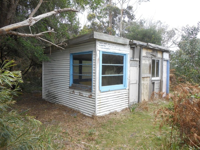 Photo - 62 North Ansons Bay Road, Ansons Bay TAS 7264 - Image 3