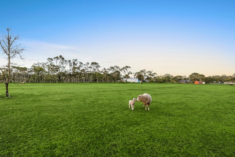 Photo - 62 Railway Road, Tyabb VIC 3913 - Image 14