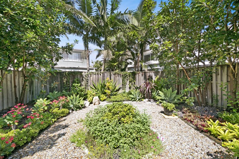 Photo - 62 Venice Street, Burleigh Waters QLD 4220 - Image 18