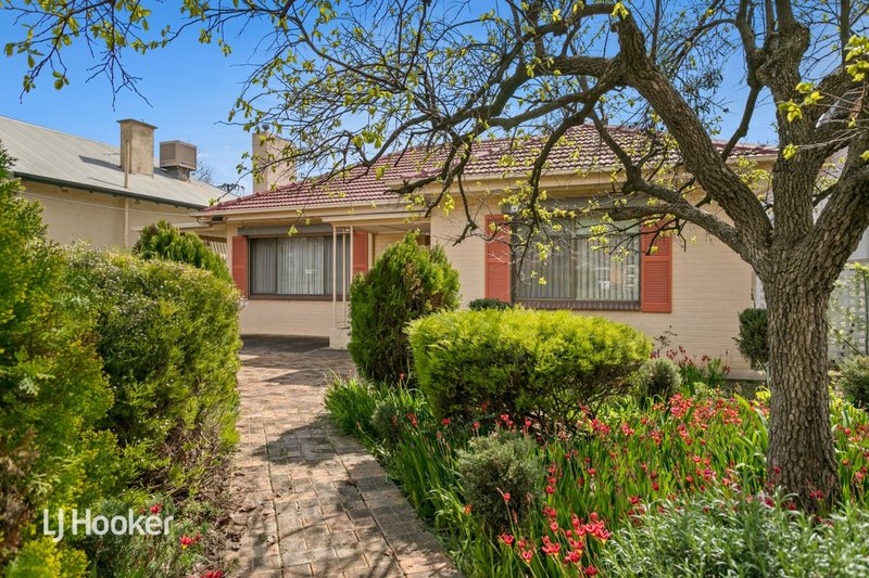 Photo - 62 Victoria Street, Prospect SA 5082 - Image 4