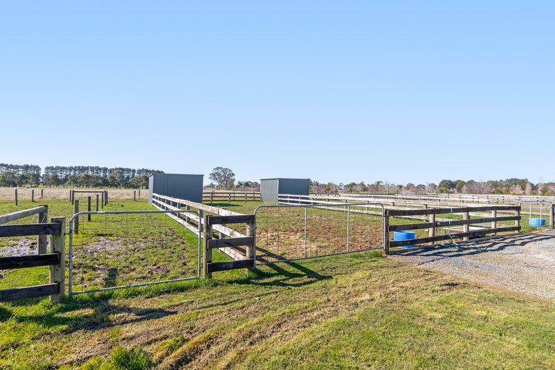 Photo - 62 Wiggins Road, Mitchell Park VIC 3355 - Image 27
