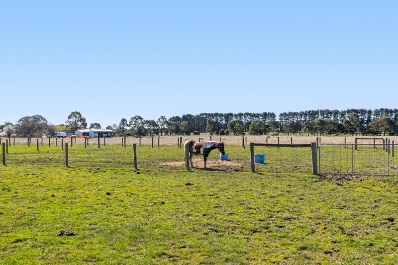 Photo - 62 Wiggins Road, Mitchell Park VIC 3355 - Image 28