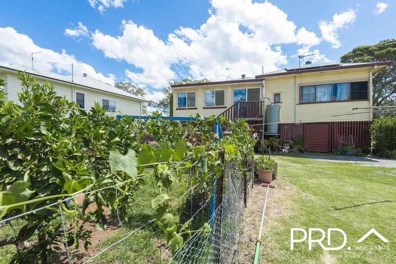 Photo - 62 Wilson Street, South Lismore NSW 2480 - Image 15